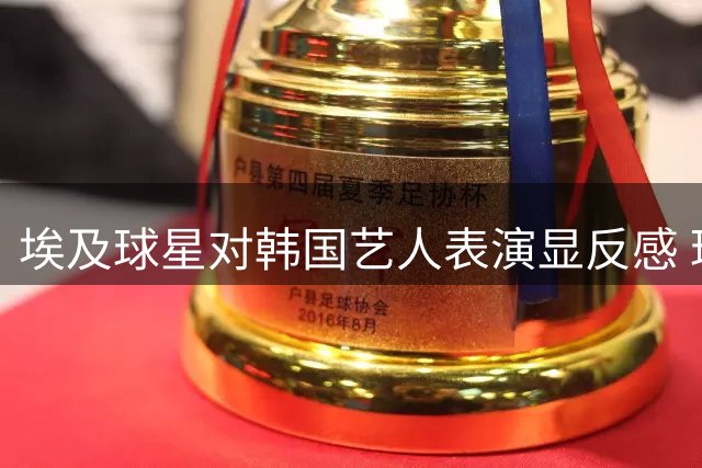埃及球星对韩国艺人表演显反感 球迷热议文化差异