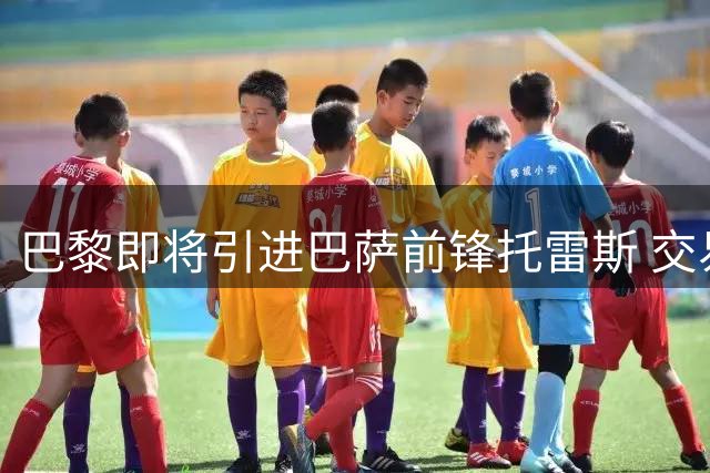 巴黎即将引进巴萨前锋托雷斯 交易本周有望敲定